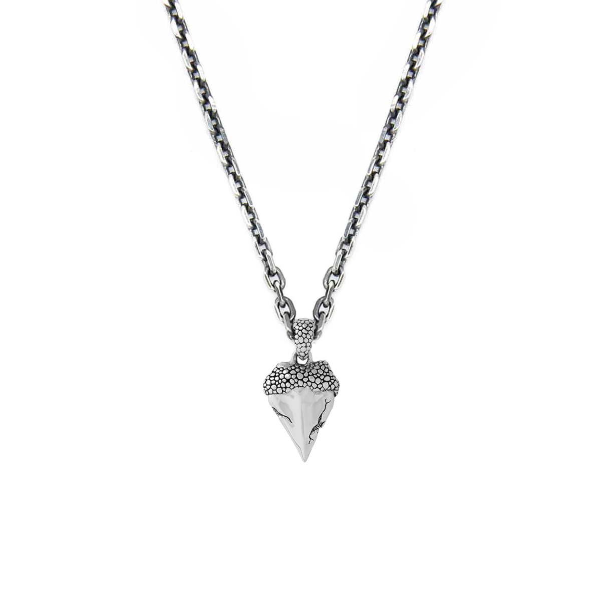 Collier homme dent de requin argent